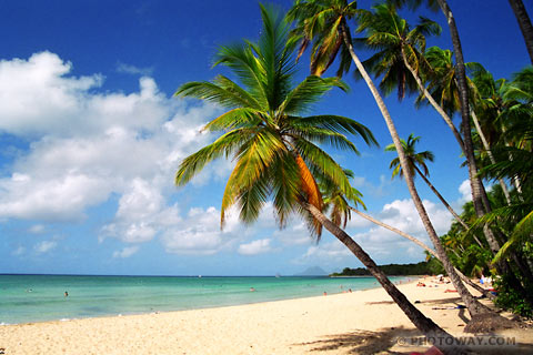 dyn002 original 480 320 pjpeg 2562324 f23b7316c90ce8f7216c3b49d6e5124c