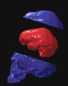 JPEG - 4.7 ko