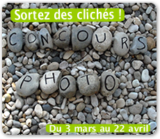 concours photo concours photo