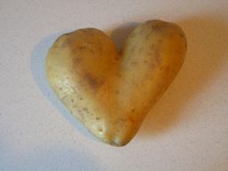 38508591 afb26c6dd0 b