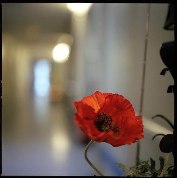 photo 1 soins palliatifs