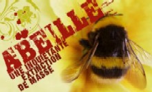 disparition-des-abeilles-en-masse