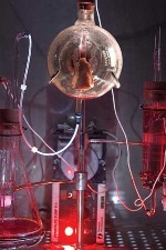 Victimless Leather Victimless Leather