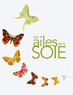 ailes de la soie