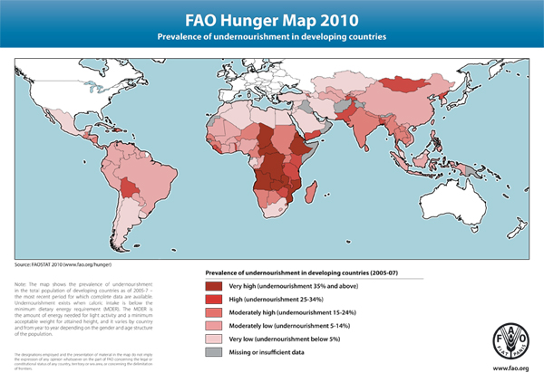 carte de la faim dans le monde 2010, site de la FAO