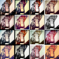 Afficher l'image d'origine