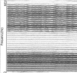 Sonogramme d'une voix