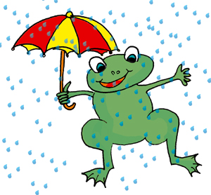 grenouille-pluie