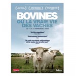 Bovines