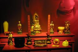 Museum d'histoire naturelle de Lyon : exposition "Chefs-d'oeuvre, trésors et quoi encore..."