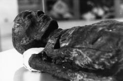 Museum d'histoire naturelle de Lyon : exposition "Momies"