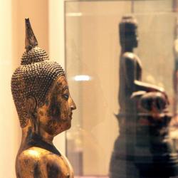 Museum d'histoire naturelle de Lyon : exposition "Destination Japon"