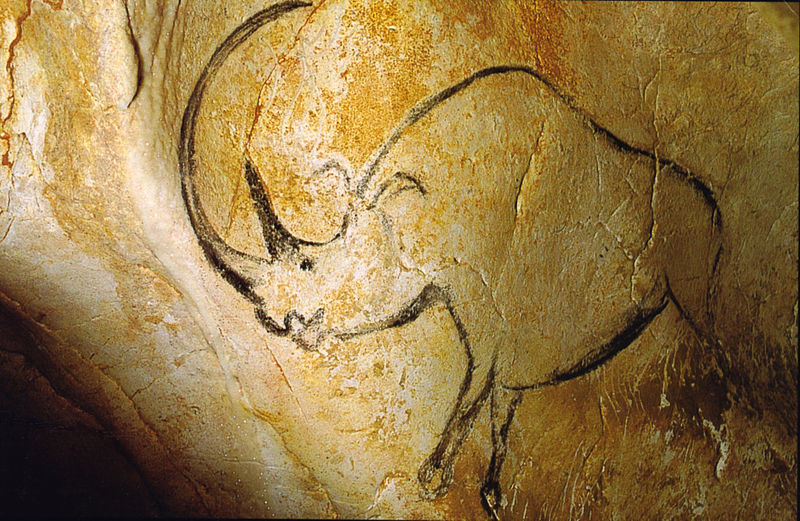 Rhinocéros sur une paroi de la grotte Chauvet