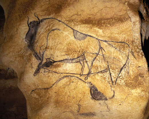 Bisons sur la paroi de la grotte Chauvet