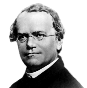 Portrait du biologiste Gregor Mendel (1822-1884)