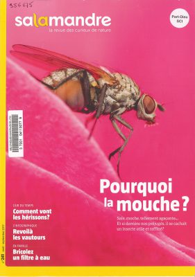 Couverture du numéro 241 de La salamandre contenant un article sur la mouche