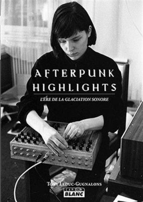 Couverture du livre Afterpunk highlights : l’ère de la glaciation sonore / Tony Leduc-Gugnalon