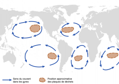 gyres océaniques