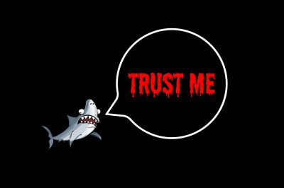 trust©Pixabay Un petit requin mignon avec un air tout affolé dit"trust me"