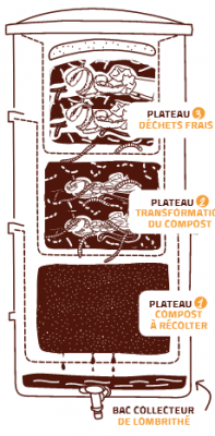 Schéma lombricomposteur