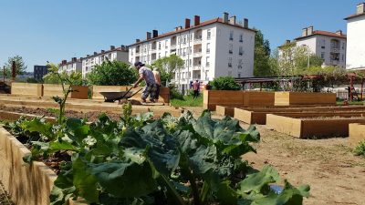 Le Jardin Oasis de Gerland animé par l'association La Légumerie