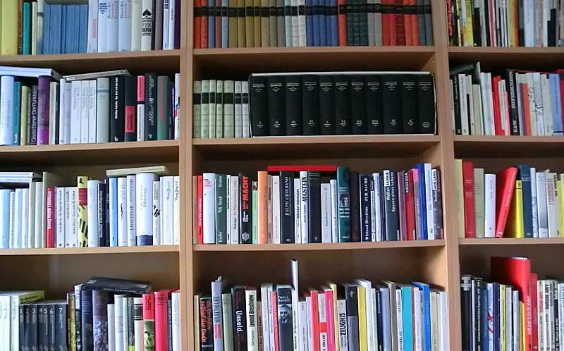 Jelizawjeta_P._Bookshelf_1 - blog.cod-rennes.fr