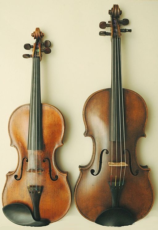 Comparaison d'un alto et d'un violon