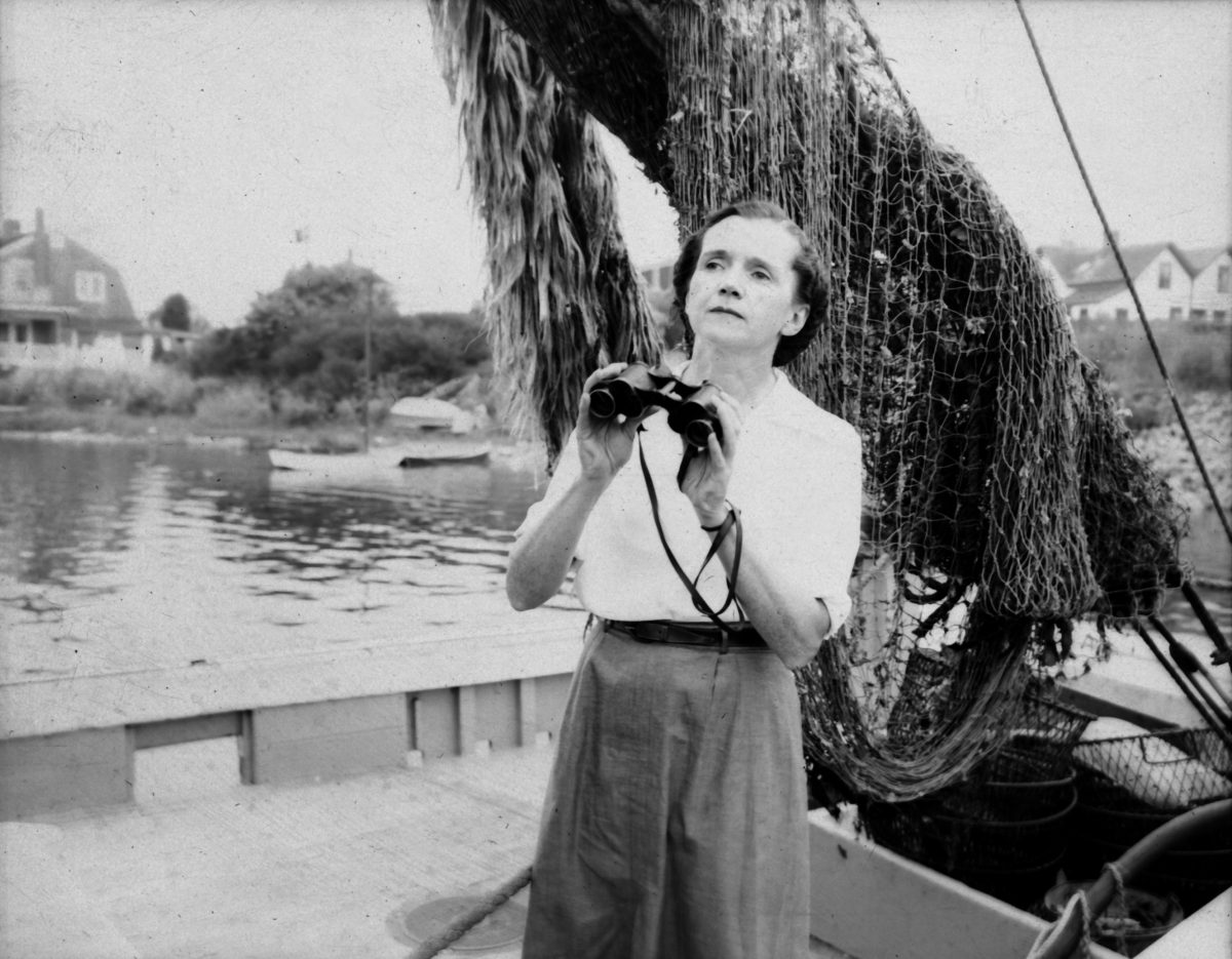 rachel carson