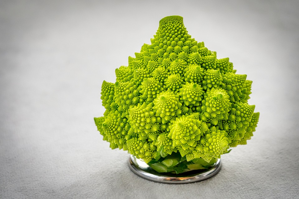 chou romanesco en arbre de Noël