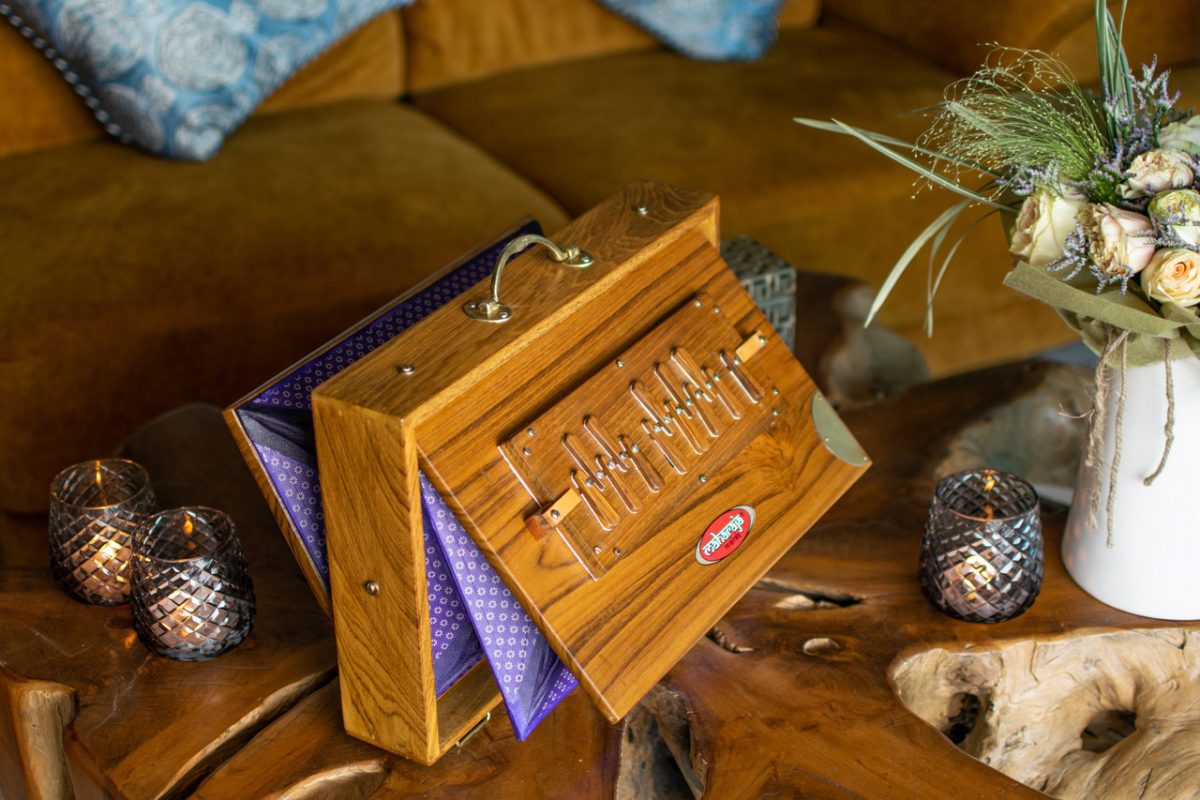 Image d'une shruti box