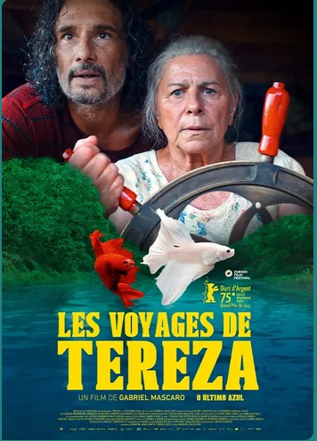 affiche du film